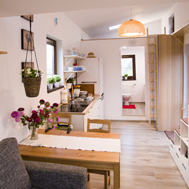 tiny house image1